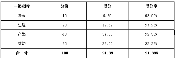 综合评价得分情况表