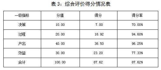 表3：综合评价得分情况表