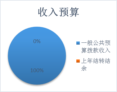 收入预算