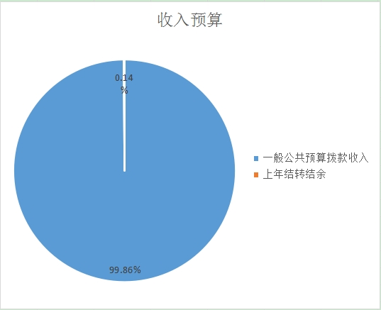 收入预算
