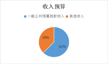 图1：收入预算