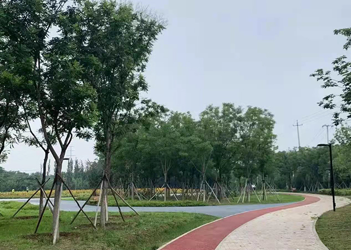 疏整促剪影丨变化天天看：长安街西延 这处公园点缀京西