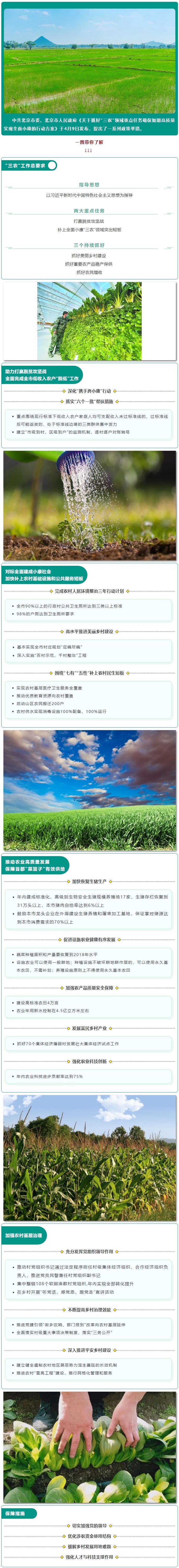 一图读懂《关于抓好“三农”领域重点任务确保如期高质量实现全面小康的行动方案》.jpg